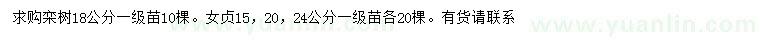 求購18公分欒樹、15、20、24公分女貞