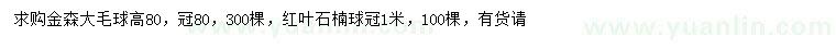 求購高80公分金森大毛球