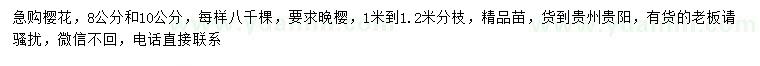 求購8-10公分櫻花