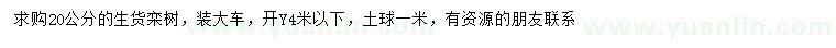 求購20公分欒樹