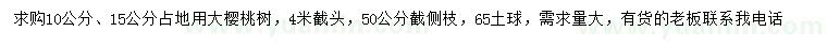 求購10、15公分大櫻桃樹