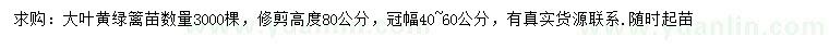 求購高80公分大葉黃綠