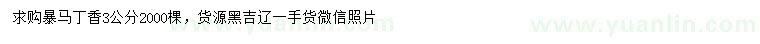 求購3公分暴馬丁香