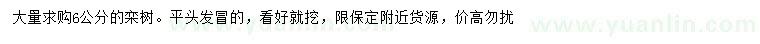 求購6公分欒樹