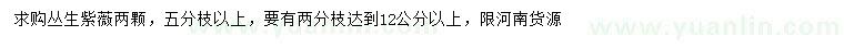 求購叢生紫薇