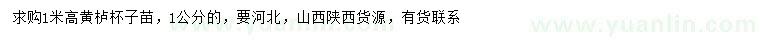 求購(gòu)1公分黃櫨