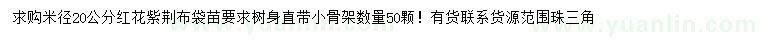 求購米徑20公分紅花紫荊
