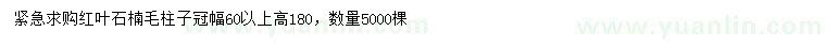 求購高180公分紅葉石楠毛柱子