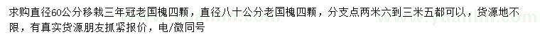 求購(gòu)直徑60、80公分老國(guó)槐