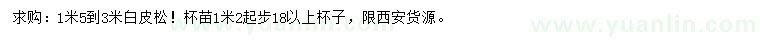 求購1.5-3米白皮松