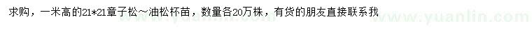 求購高1米樟子松、油松