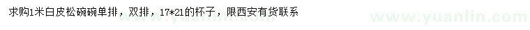 求購(gòu)1米白皮松