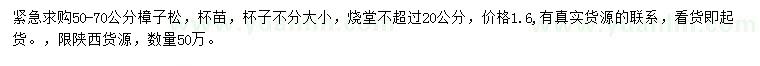 求購50-70公分樟子松