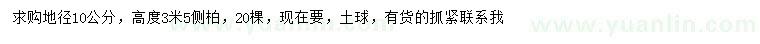 求購(gòu)地徑10公分側(cè)柏