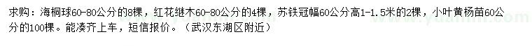 求購海桐球、紅花繼木、蘇鐵等