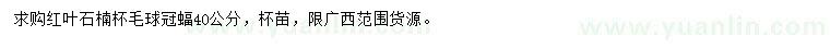 求購冠蝠40公分紅葉石楠杯毛球