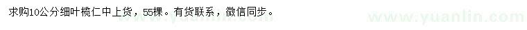 求購10公分細(xì)葉欖仁