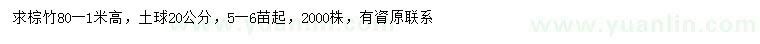 求購高80-100公分棕竹