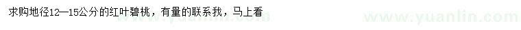 求購地徑12-15公分紅葉碧桃