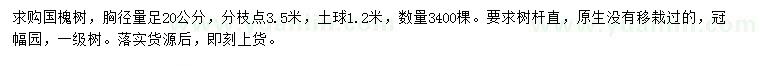 求購20公分國槐
