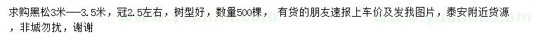 求購3-3.5米黑松