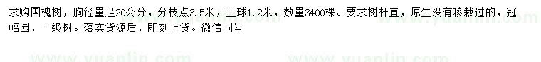 求購胸徑量足20公分國槐