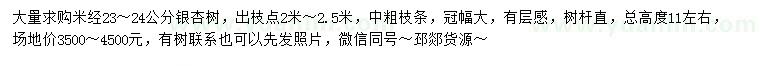 求購米徑23-24公分銀杏