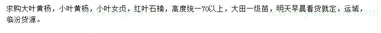 求購大葉黃楊、小葉黃楊、小葉女貞等