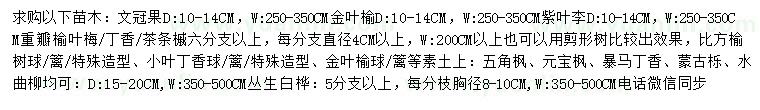 求購文冠果、金葉榆、紫葉李等
