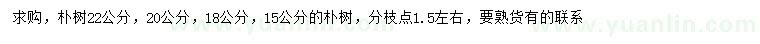 求購15、18、20、22公分樸樹