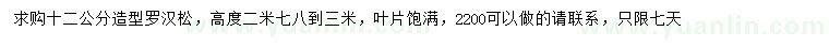 求購12公分造型羅漢松
