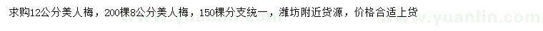 求購8、12公分美人梅