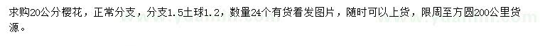 求購(gòu)20公分櫻花