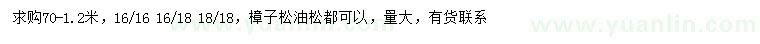 求購(gòu)70-120公分樟子松、油松