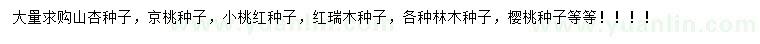 求購山杏種子、京桃種子、小桃紅種子等