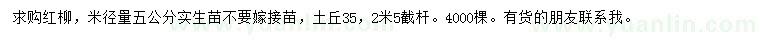 求購米徑量5公分紅柳