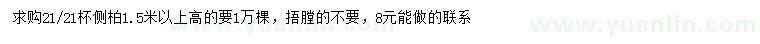 求購(gòu)高1.5米以上側(cè)柏