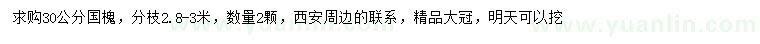 求購30公分國槐