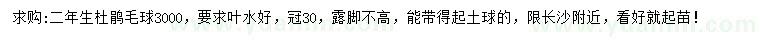 求購二年生杜鵑毛球
