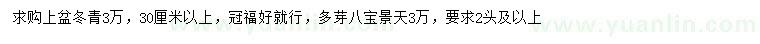 求購(gòu)30公分以上冬青