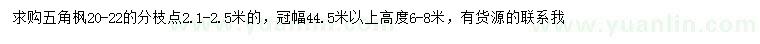 求購20-22公分五角楓