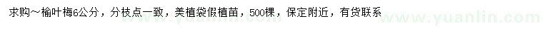 求購(gòu)6公分榆葉梅