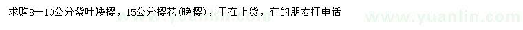 求購(gòu)8-10公分紫葉矮櫻、15公分晚櫻