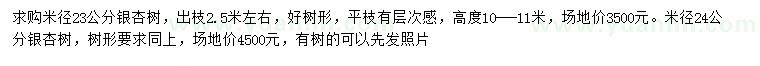 求購米徑23、24公分銀杏