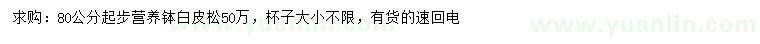 求購80公分起步白皮松