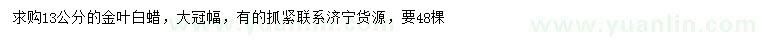 求購13公分金葉白蠟