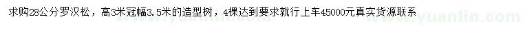 求購28公分羅漢松