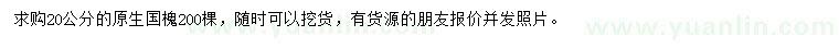 求購20公分國槐