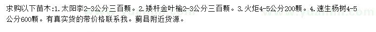 求購(gòu)太陽(yáng)李、矮桿金葉榆、火炬等