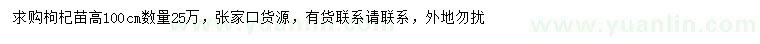 求購高100公分枸杞苗